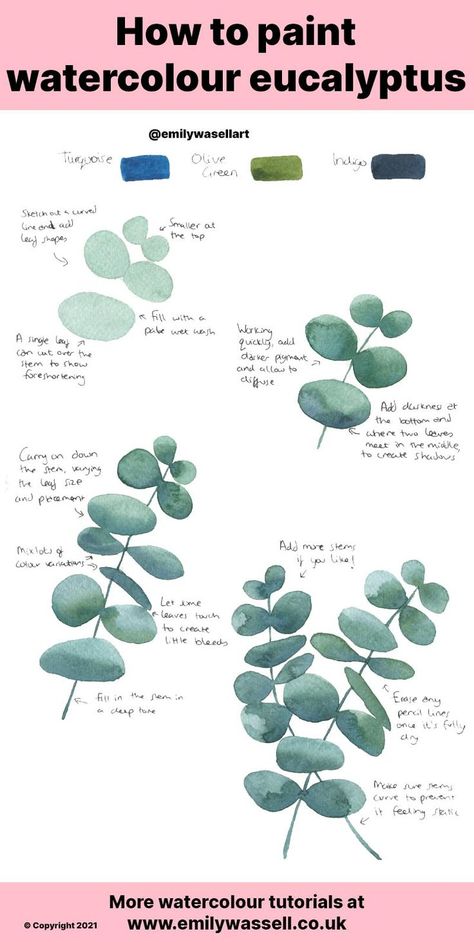 Paint Eucalyptus Leaves Acrylic, Watercolour Beginners Ideas, Watercolour Leaf Tutorial, How To Paint Eucalyptus Leaves Acrylic, Watercolour Eucalyptus Leaves, How To Paint Eucalyptus Leaves, Painting Eucalyptus Leaves Acrylic, Watercolor Flowers Easy Step By Step, Water Colour Leafs