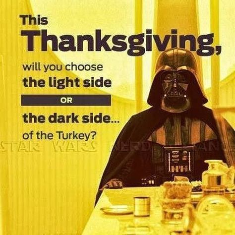 Happy Thanksgiving Happy Thanksgiving Images, Thanksgiving Images, Star Wars Trilogy, Hosting Thanksgiving, Light Side, Crafts With Pictures, Funny Thanksgiving, Star Wars Humor, The Dark Side