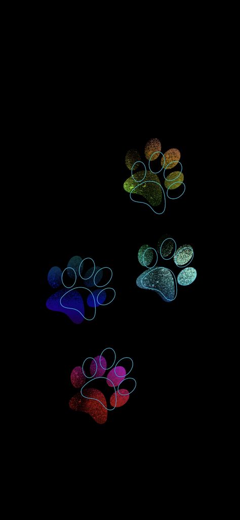 Dog Paws Wallpaper, Paws Wallpaper, Paw Print Wallpaper, Paw Print Background, Edge Wallpaper, Paw Wallpaper, Dog Boarding Facility, Dog Grooming Styles, Crystal Photography