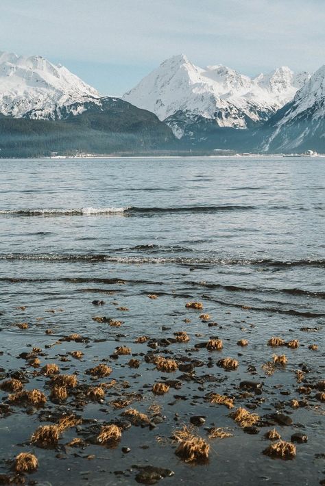 Alaska Honeymoon, Alaska Beach, Alaska Aesthetic, Moving To Alaska, Seward Alaska, Vacation Pics, Summer Vision, Alaska Usa, Tattoo Inspiration Men