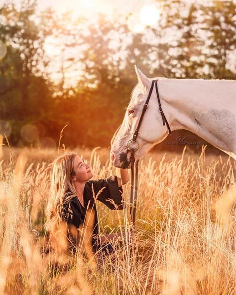 Fall Horse Photoshoot, Horse Photoshoot Ideas, Horse Senior Pictures, Sunset Shoot, Horse Photoshoot, Horse Photography Poses, Pictures With Horses, Beautiful Horses Photography, Golden Hour Photography