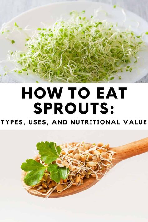 Salad Sprouts Recipe, Sprouts Nutritional Value, How To Eat Broccoli Sprouts, Sprouts Recipes Alfalfa, Broccoli Sprout Recipes, Recipes For Sprouts, Broccoli Sprouts Recipes Dishes, Brocolli Sprouts Recipes, How To Use Sprouts