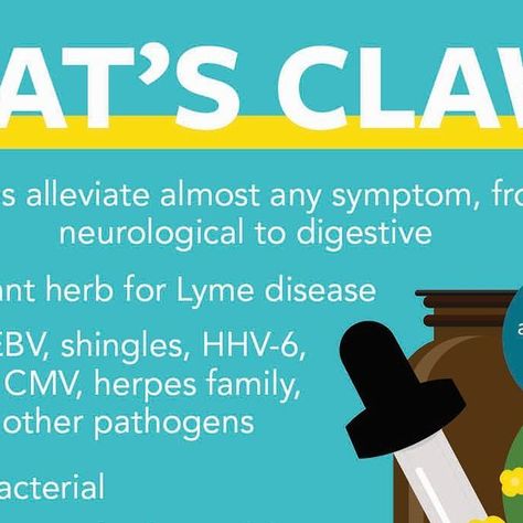 Medical Medium® on Instagram: "Cat's Claw: Life-Changing Herb Cat’s claw is one of the most powerful resources for helping to reverse the epidemic of chronic and mystery illness in the 21st century. Cat’s claw can aid in alleviating almost any symptom, from neurological to digestive. Cat’s claw helps eliminate the parasite Babesia and bacteria such as Bartonella and other bugs without the so-called Herxheimer die-off reaction so common with antibiotics, because the bioactive pharma-compounds i Medium Recipe, Medical Medium, Cat Claws, Medical Research, Vitamins & Supplements, Life Changing, Most Powerful, Healthy Drinks, 21st Century