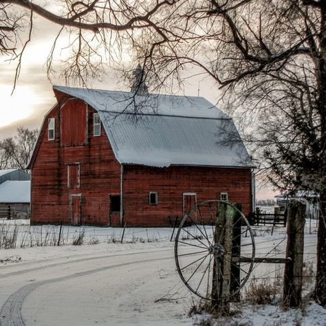 Winter Farm, Country Fences, Barn Photography, Barn Pictures, Country Barns, Barn Painting, Farm Photo, Barn Decor, Farm Art