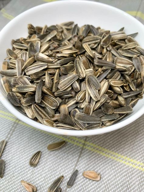 How to Harvest Sunflower Seeds Sunflower Seeds Aesthetic, Seeds To Eat, Harvest Sunflower Seeds, Sunflower Seed Recipes, Harvesting Sunflower Seeds, Russian Aesthetic, Growing Sunflowers, Scarlett Rose, Baseball Boys