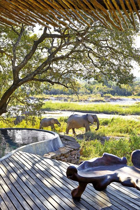 Africa Safari Lodge, Lodges South Africa, African Lodges, South Africa Safari, Travel South Africa, Lodge Ideas, Africa Trip, Game Lodge, Africa Do Sul