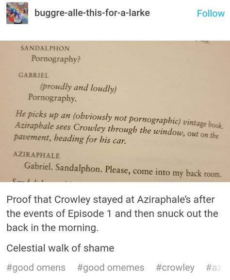 What they'd do before the morning came? ((Lenny face)) Good Omens Script, Good Omens Role Reversal, Good Omens Script Book, 10yrsy Good Omens, Good Omens Book Vs Show, Lenny Face, Good Omens Ineffable Husbands, Neil Gaiman Good Omens Tweet, Crowley Aziraphale