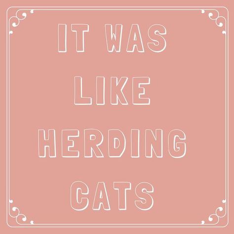 It Was Like Herding Cats - 63 Sayings You Learned From Your Southern Grandma  - Southernliving. Have you ever tried to herd cats? Trucking Memes, Southern Witch, Adages And Proverbs, Southern Talk, Southern Quotes, Southern Expressions, Southern Belle Secrets, Southern Slang, Southern Humor