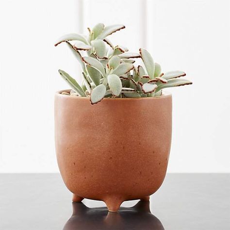 Vaquita Orange Footed Planter Teracotta Pots, Clearance Outdoor Furniture, Ceramic Bead Jewelry, Indoor Outdoor Planter, Patio Accessories, Plant Mom, Outdoor Planters, Ceramic Planters, Indoor Outdoor Rugs