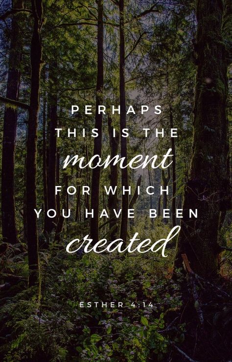 perhaps this is the moment for which you have been created Perhaps This Is The Moment You Were Created For, Perhaps This Is The Moment For Which, Birth Board, Great Are You Lord, Nursing Graduation Pictures, Spiritual Faith, God Is So Good, Holy Holy, My Life Style