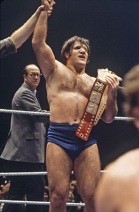 The Original WWE Superstar Finally Comes Home Bruno Sammartino, Wwe Hall Of Fame, Wrestling Posters, Professional Wrestlers, Wwe Tna, Wrestling Stars, Wwe Legends, Pro Wrestler, Wrestling Superstars