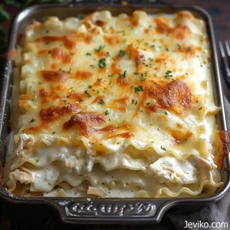 Alfredo Chicken Lasagna - Life with Susan Alfredo Chicken Lasagna, Chicken Alfredo Lasagna Recipe, Jarred Alfredo Sauce, Olive Garden Minestrone Soup, Alfredo Chicken, Chicken Alfredo Lasagna, Potato Bacon Soup, Alfredo Lasagna, No Boil Lasagna