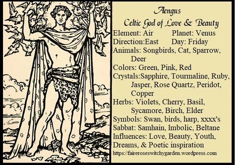 Aengus: Celtic God of Love & Beauty Incense Recipes, Magick Herbs, Celtic Paganism, Celtic Deities, Fair Folk, Witchy Garden, Celtic Myth, Divination Runes, God Of Love