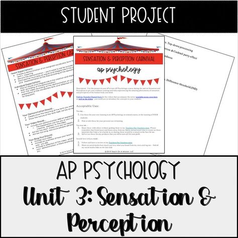 In your first or second year of teaching AP Psychology, you need support in the content.  Find that support and resources for Unit 3, Sensation & Perception here.  #appsychology #psychology #mandyrice #teachonamission #psychologyactivities #reviewactivities #sensationandperception Sensation And Perception Psychology Activities, Psychology Lesson Plans High School, Teaching Psychology High Schools, Ap Psychology Notes, Sensation And Perception, Perception Psychology, Psychology Teacher, Teaching Psychology, Ap Psych