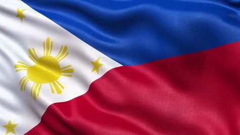 Facts About Philippines, About Philippines, Shocking Facts, Historical Facts, Eu Flag, Interesting Facts, The Philippines, Facts About, Country Flags