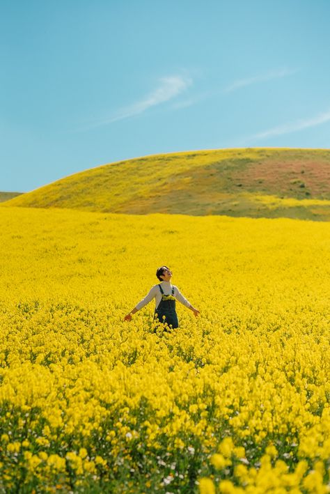 Free Spring Wallpaper, Yellow Flower Field, Fields Of Gold, Sun Flowers, Elephant Journal, Calming Activities, Spring Wallpaper, Perfect Image, Female Poses