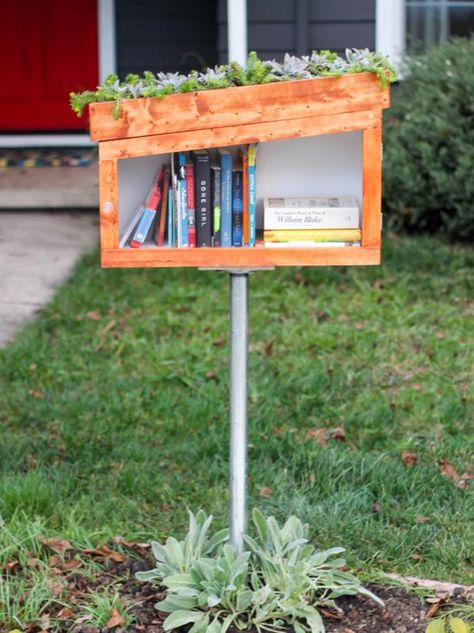 How to Build a Free Library Box With a Living Roof | how-tos | DIY Little Library Ideas, Little Free Library Plans, Little Free Library Ideas, Free Library Ideas, Free Little Library, Seed Library, Tiny Library, Street Library, Library Plan