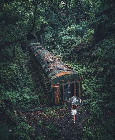 Inference Pictures, Abandoned Train, Abandoned Buildings, Abandoned Houses, Fantasy Landscape, A Train, Abandoned Places, In The Middle, The Middle