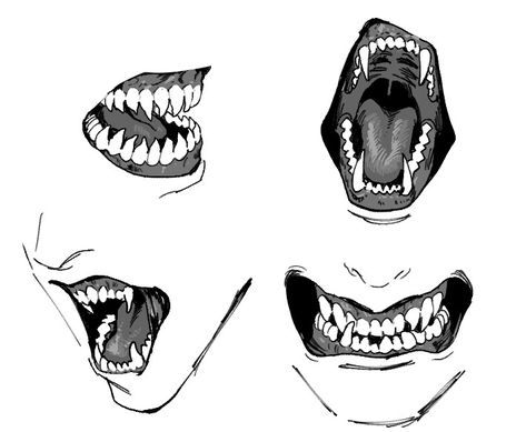 Mouth Drawing, Sharp Teeth, Drawing Expressions, Anatomy Drawing, Different Angles, Body Drawing, Anatomy Reference, Shark Teeth, Anatomy Art