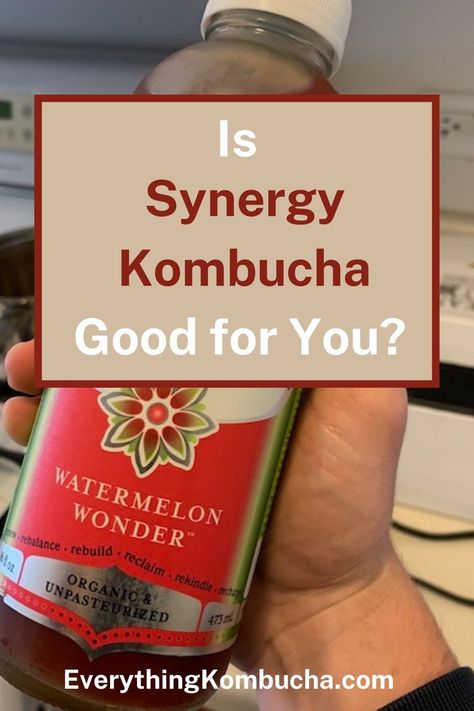 GT'S Synergy Kombucha is one of the most popular brands of kombucha you'll find at the store. Most people know that in general, kombucha is pretty healthy. But since ingredients and recipes can vary so much from brand to brand, you may wonder whether Synergy Kombucha is a good kombucha to be drinking. To find out, tap on the pin to read my article! #kombucha #synergy #GTDave #probiotic #review Synergy Kombucha, Kombucha Health Benefits, Best Kombucha, Kombucha Drink, Kombucha Brands, Kombucha Benefits, Kombucha Recipe, New Drink, Fermented Tea