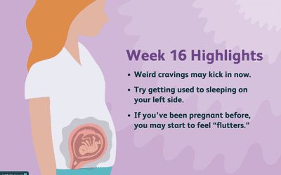 15 Weeks Pregnant: Symptoms, Baby Development, and More Pregnant Symptoms, Weird Cravings, 4 Weeks Pregnant, 17 Weeks Pregnant, 19 Weeks Pregnant, Baby Development Milestones, Trimester By Weeks, 15 Weeks Pregnant