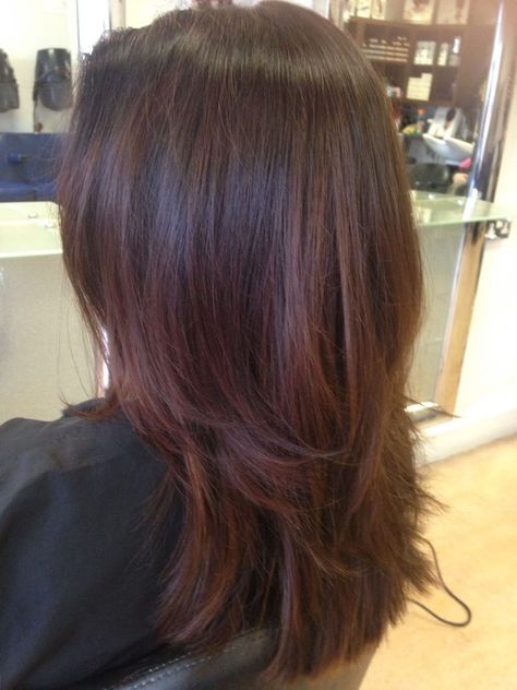 Res Highlight On Brown Hair, Carmel Brown Hair Colour, Brown Hair With Red Undertones, Hair Tint Colours, Brown Hair With Red Highlights, Medium Red Hair, Red Highlights In Brown Hair, Red Balayage Hair, Wine Hair