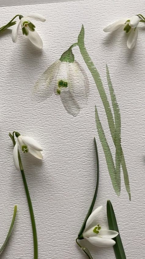 Sharing a tutorial for one of my favorite flowers ever ☺️ - Snowdrops ! I have painted a version every year these past couple years . Yet… | Instagram Snowdrop Flower, Snowdrop Flower Painting, Snowdrop Watercolor Paintings, Snow Drop Flower Wallpaper, Snowdrop Flower Wallpaper, Snowdrop Flower Aesthetic Wallpaper, Snowdrop Ending, Snow Drops Flowers, Snowdrops In Snow