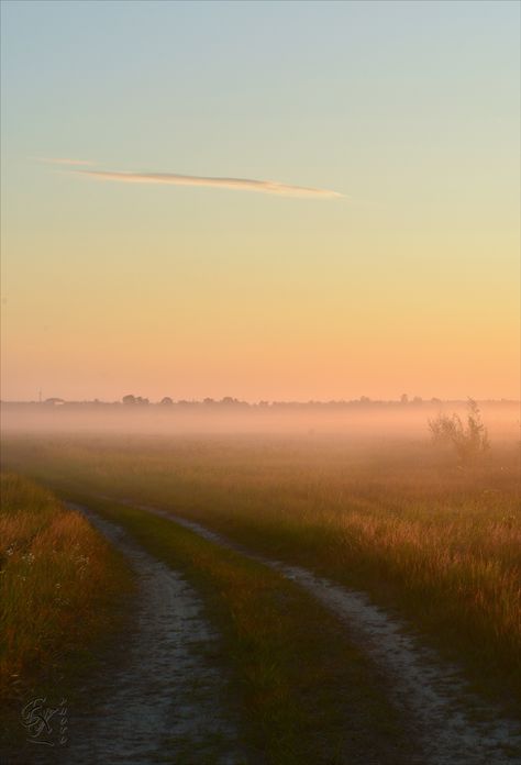 Emotional Landscape Photography, Field Photography Landscape, Hay Field Aesthetic, Grassy Field Aesthetic, Open Field Aesthetic, Dawn Aesthetic, Fall Field, Autumn Field, Field Aesthetic