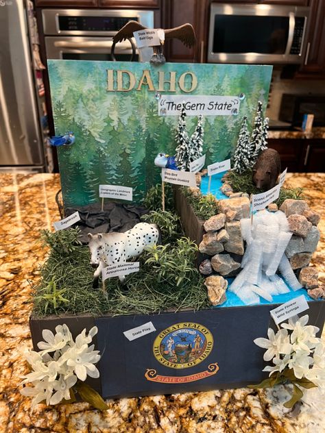 State Float Project, Nevada Day, Learning States, Eagle Idaho, America Theme, Craters Of The Moon, Idaho State, State Birds, Appaloosa Horses