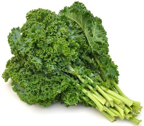 Best Greens For Smoothies-3 Yellow Crookneck Squash, Harvesting Kale, Kale Chips Baked, Everyday Dishes, Kale Chips, Spring Vegetables, Nutrient Dense Food, Organic Fruit, Eating Raw