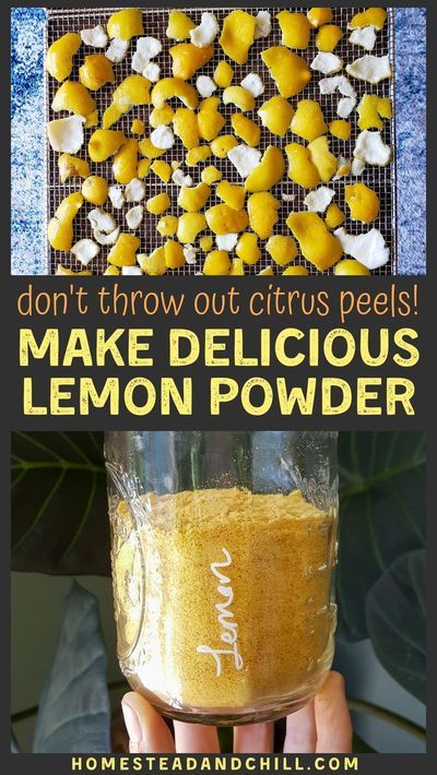 Dehydrated Lemon Peel, Lemon Peel Powder, Lemon Powder, Dehydrating Food Storage, Dried Lemon Peel, Hot Lemon Water, Lemon Health Benefits, Lemon Uses, Lemon Benefits