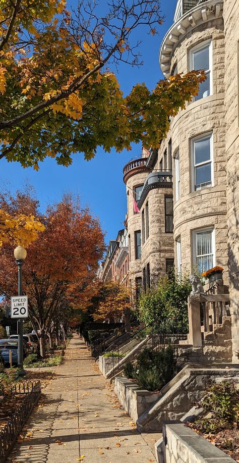 Afternoon sunlight Dupont Circle Washington DC townhomes along the sidewalk facing trees with red and yellow leaves. Fall Washington Dc, Washington Dc Aesthetic Fall, Logan Circle Washington Dc, Fall In Dc, 8th Grade Dc Trip, Washington Dc Living, Build Aesthetic, Dc Lifestyle, Living In Dc