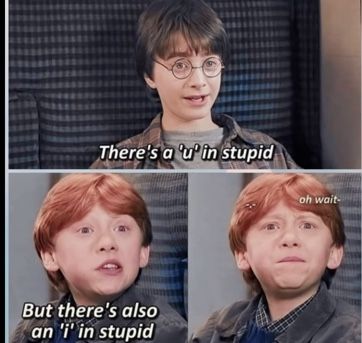 Last Brain Cell, Harry Potter Funny Pictures, Harry Potter Parody, Glume Harry Potter, Funny Harry Potter Jokes, Harry Potter Memes Hilarious, Harry Potter Feels, Harry Potter Puns, Harry Potter Scene