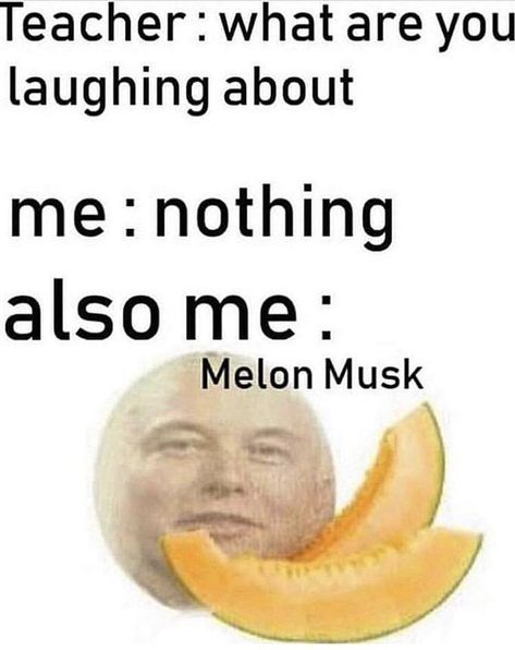 The Entire History of #Muskposting, From E to M #elonmusk #fails #funny #dank Melon Musk, Lol Memes, 웃긴 사진, Wholesome Memes, Elon Musk, Laughing So Hard, Really Funny Pictures, Really Funny Memes, Funny Pins