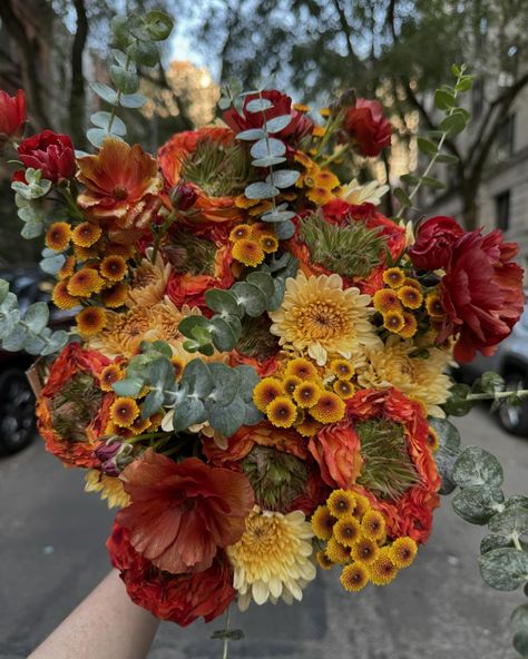 Trader Joe’s flowers in September- this month went by so fast! #diybouquet #traderjoesflowers Trader Joes Fall Flowers, Trader Joe’s Fall Flowers, Trader Joe’s, Diy Bouquet, Trader Joe, Trader Joes, Fall Flowers, Flowers, Quick Saves