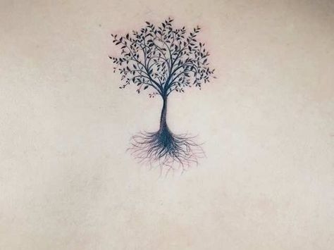 tree of life tattoo ideas Remember Your Roots Tattoo, Tree With No Leaves Tattoo, Olive Trees Tattoo, Delicate Tree Tattoo, Birch Tree Tattoo For Women, Small Tree Of Life Tattoo, Tree Tattoo Designs For Women, Tattoo Tree Roots, Tree With Roots Tattoo