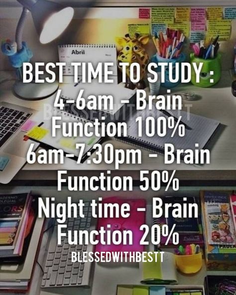 Best Time To Study, Study Planning, Study Hard Quotes, Time To Study, Night Study, Exam Study Tips, Best Study Tips, Study Tips For Students, Effective Study Tips