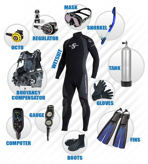 Scuba Diving Suit, Scuba Diving Quotes, Scuba Equipment, Scuba Diving Photography, Diver Down, Bawah Air, Sea Diving, Scuba Diving Equipment, Scuba Diving Gear