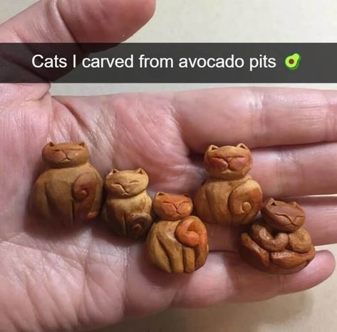 Avocado Pits, Cool Stuff, Cute Crafts, Crafts To Do, Creative Crafts, Pretty Art, Clay Art, Clay Crafts, Wood Carving