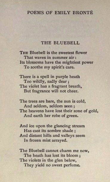 19th Century Poetry, Old Poetry Aesthetic, Poems By Famous Poets, Victorian Poetry, Old Poetry, Meaningful Poems, Prose Poetry, Poetic Words, Emily Bronte