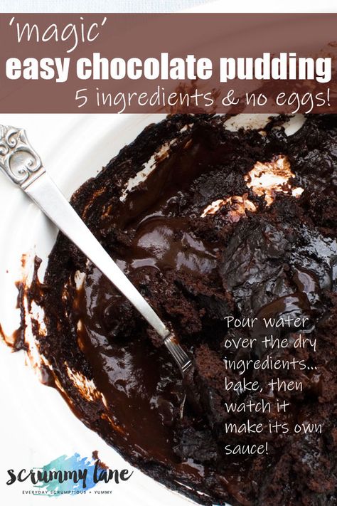 Welcome to your new favourite crowd pleasing dessert! You need just 6 ingredients to make this quick and easy chocolate self saucing pudding. Bonus - it's quite low in sugar and contains no eggs! #easychocolatedesserts #selfsaucingpudding #scrummylane #chocolate No Egg Pudding Recipe, Self Sauce Chocolate Pudding, Easy Puddings Quick, Easy Baked Pudding Recipes, Chocolate Self Saucing Pudding Easy, Eggless Chocolate Pudding, Choc Pudding Cake, Quick And Easy Pudding Recipes, Quick Pudding Recipes