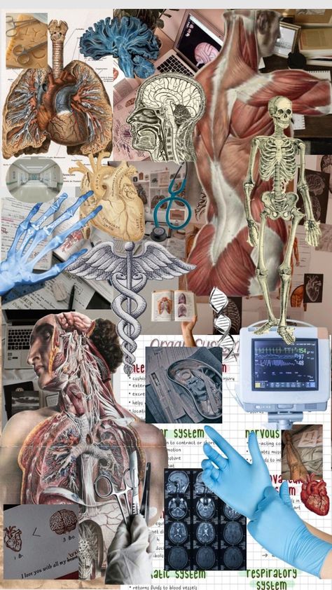 Physiology Aesthetic Wallpaper, Human Anatomy Wallpaper, Anatomy And Physiology Aesthetic, Physiology Aesthetic, Medicine Collage, Wallpaper Medicine, Science Portfolio, Medical Collage, Medicine Wallpaper