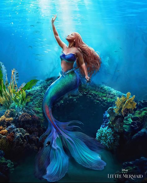 Ariel Wallpaper, Little Mermaid Wallpaper, Little Mermaid Live Action, Mermaid Artwork, Mermaid Wallpapers, Mermaid Under The Sea, Mermaid Pictures, Mermaid Aesthetic, Now Playing