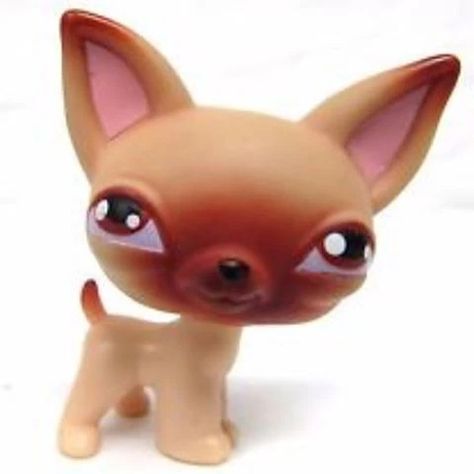 Lps Bear, Lps Chihuahua, Lps Pfp, Lps Rare, Lps Baby, Lps Numbers, Lps Aesthetic, Lps Blythe, Rare Lps