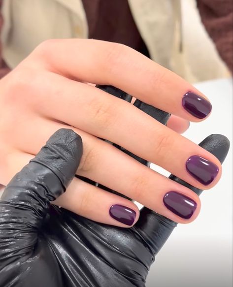 Dark Nail Gel Colors, Dark Purple Shellac Nails, Fall Nails Dark Purple, Short Nail Inspo Purple, Purple Wine Nails, Plum Purple Outfit, Dark Purple Manicure, Dark Purple Short Nails, Eggplant Nail Color