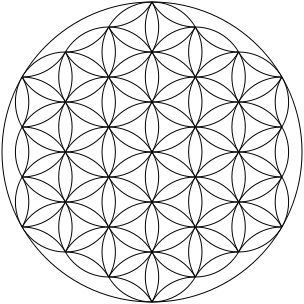 Divine masculine Flower Of Life Symbol, The Flower Of Life, Geometric Symbols, Geometric Mandala, Spirit Science, Flower Circle, Geometric Flower, Life Symbol, Plant Drawing