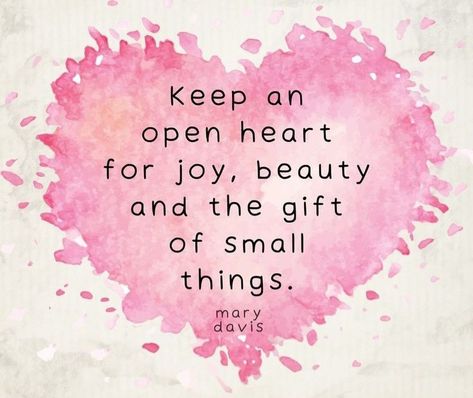 Feed the Spirit. Nourish the Soul. Find JOY in the little things. A Happy Heart makes a Happy life. Happiness is bringing JOY to others. Give more than you take. Be a rainbow in someone else's cloud. Spread LOVE wherever you go. BE KIND. BE BLESSED. GigiLynn  NOT MY IMAGES! Unless otherwise stated.. #souljoyfully  #wordstoremember #nourishthesoul #feedthespirit #upliftingquotes  #goodwords #wisdom #kindness #Happiness  #love #gratitude #joy #joyful #peace Finding Joy Quotes Inspirational, Finding Joy Quotes, Stones Painting, Love Gratitude, Joy Quotes, Be Blessed, Find Joy, Happy Heart, Uplifting Quotes