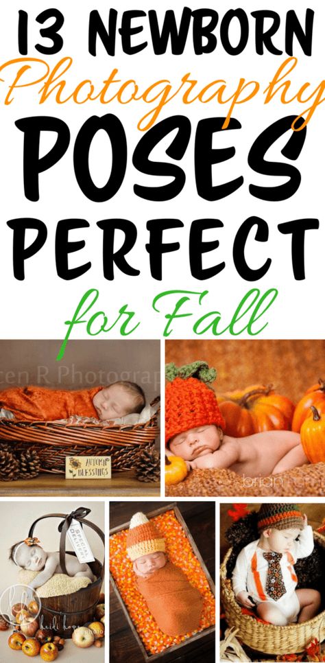 Newborn Photography Poses for Fall, 13 Ideas - Habitat For Mom Newborn Photography Poses, Baby Kicking, Real Parents, Pumping Moms, Baby Sleep Problems, Power Foods, Photography Newborn, Fall Photoshoot, Pregnant Mom