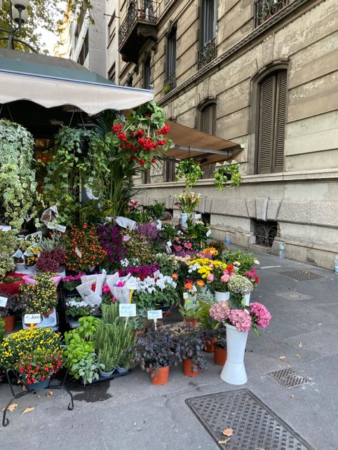 Summer In Milan Aesthetic, Apartment In Milan, Spring In Italy Aesthetic, European Spring Aesthetic, Milan City Aesthetic, Living In Milan Aesthetic, Milan Lifestyle Aesthetic, Italy Spring Aesthetic, Life In Milan