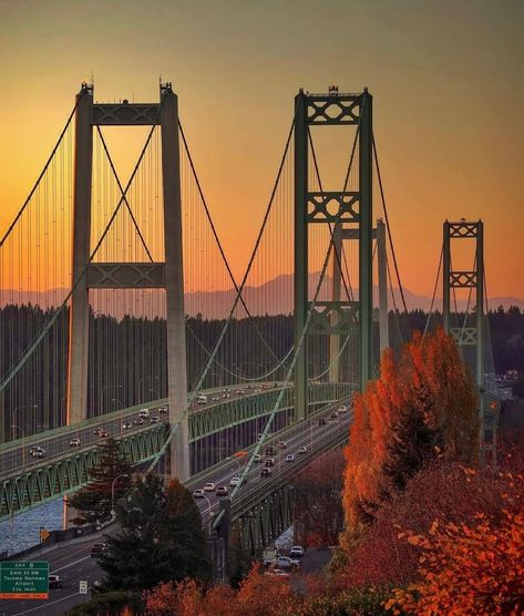 Washington Aesthetic, Tacoma Narrows Bridge, Evergreen State, Tacoma Washington, Western Washington, Tacoma Wa, Treasure Maps, Emerald City, Going Home